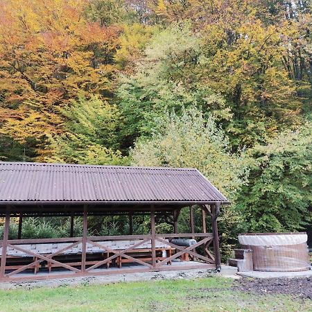 Vila Fontana Erdelyi Vendeghaz Odorheiu Secuiesc Exteriér fotografie