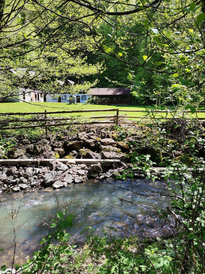 Vila Fontana Erdelyi Vendeghaz Odorheiu Secuiesc Exteriér fotografie