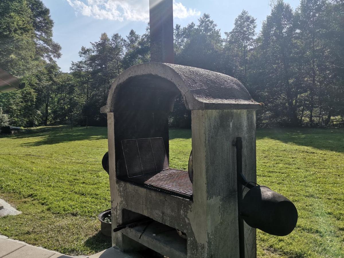 Vila Fontana Erdelyi Vendeghaz Odorheiu Secuiesc Exteriér fotografie