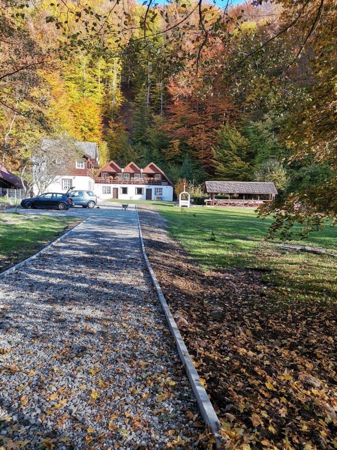 Vila Fontana Erdelyi Vendeghaz Odorheiu Secuiesc Exteriér fotografie