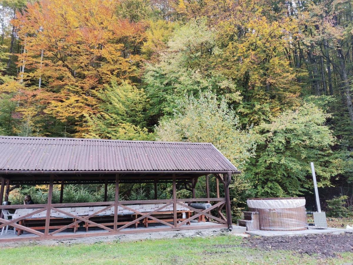 Vila Fontana Erdelyi Vendeghaz Odorheiu Secuiesc Exteriér fotografie